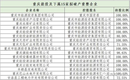 突发 重庆能投等16家城投 国企申请破产重整,法院正在审查